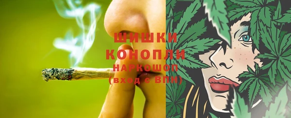 мдпв Елизово