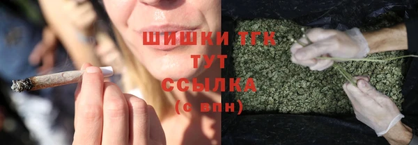 мдпв Елизово