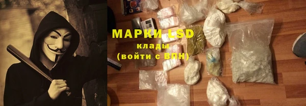 мдпв Елизово