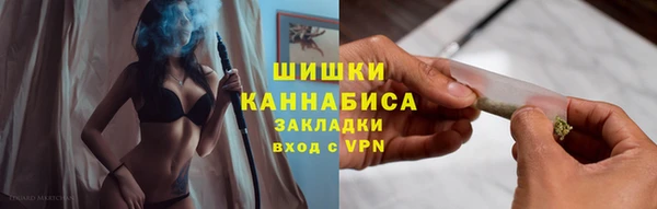ALPHA PVP Ельня