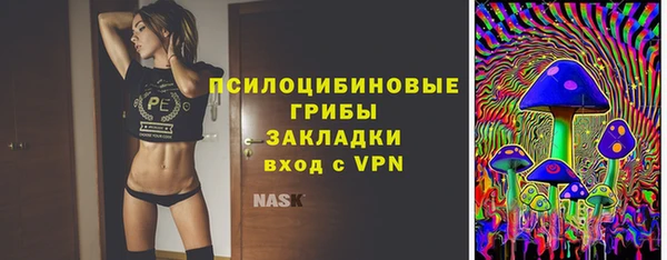 ALPHA PVP Ельня