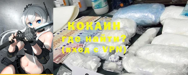 мдпв Елизово
