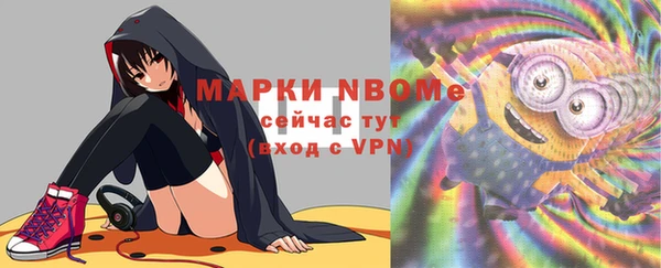 мдпв Елизово